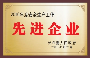 2016年度安全生產(chǎn)工作先進企業(yè)